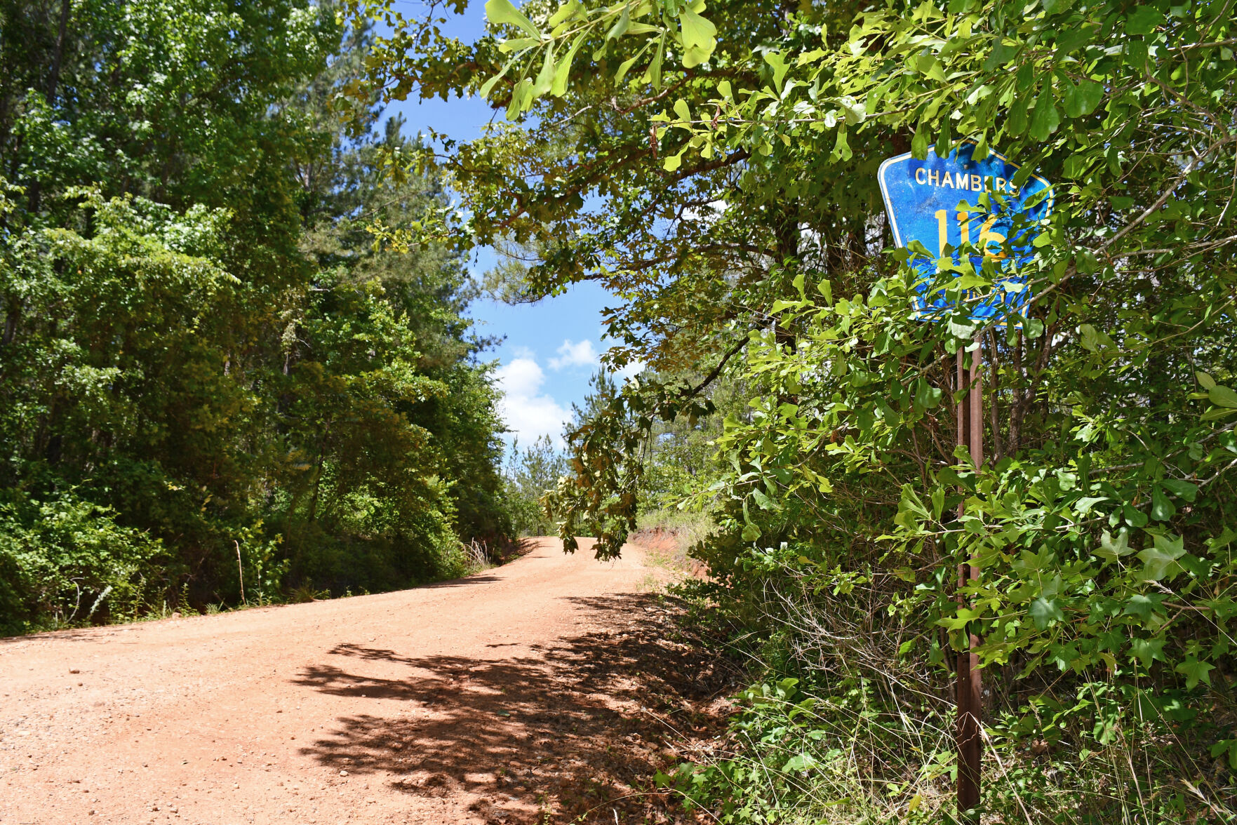 Chambers County Road 116